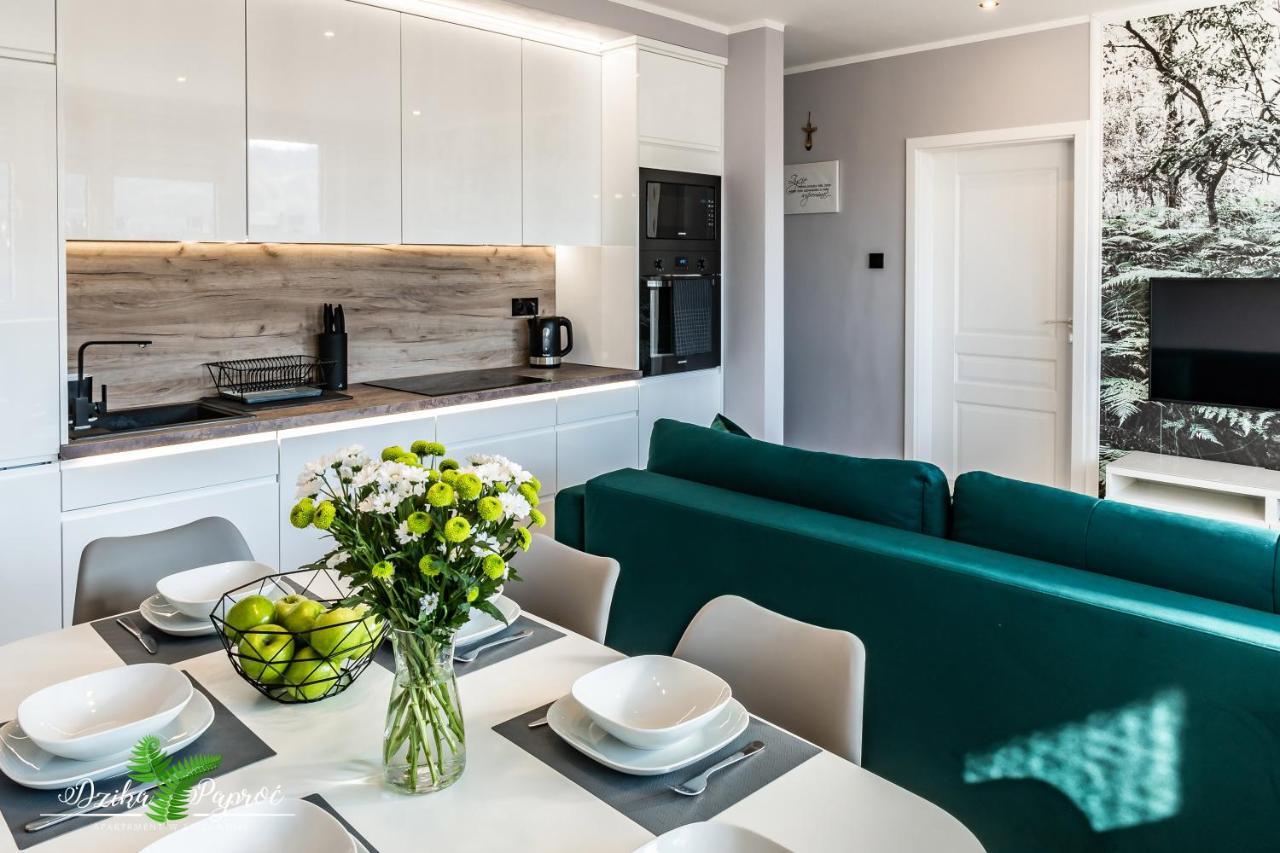 Apartament Dzika Paproc 슈차브니차 외부 사진