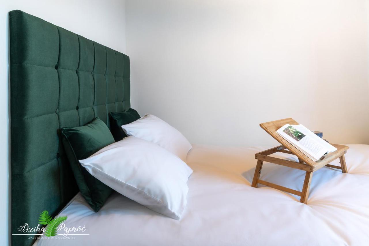 Apartament Dzika Paproc 슈차브니차 외부 사진